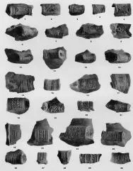 VARIOUS (VUCEDOL)