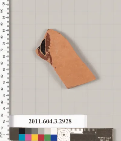 Terracotta fragment of a closed shape