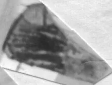 CUP, FRAGMENT (ATHENIAN, RED-FIGURE)