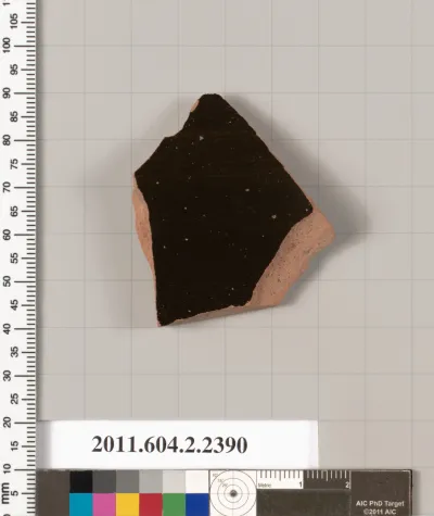 Terracotta fragment of a pelike (jar)?