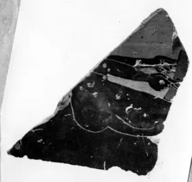 AMPHORA, BELLY, TYPE B, FRAGMENT (ATHENIAN, BLACK-FIGURE)
