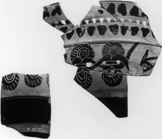 CUP, SIANA, FRAGMENTS (ATHENIAN, BLACK-FIGURE)