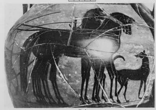 AMPHORA, BELLY, TYPE A (ATHENIAN, BLACK-FIGURE)