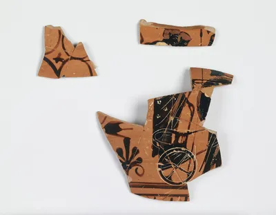 Attic Black-Figure Neck Amphora Fragments