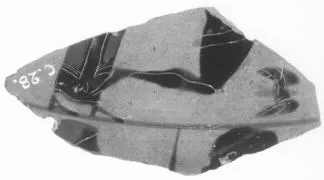 HYDRIA, FRAGMENT (ATHENIAN, BLACK-FIGURE)