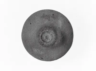 Vase Fragment