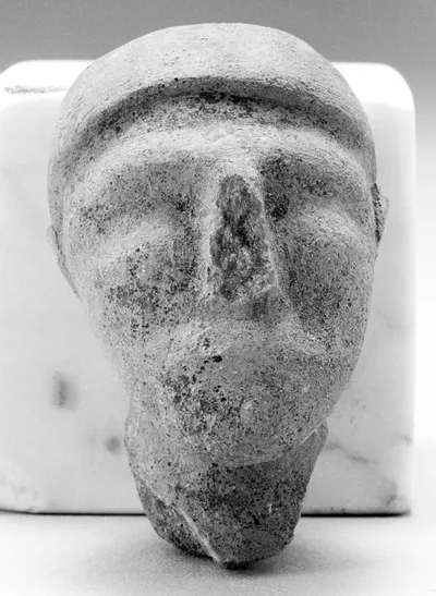 Male Head