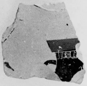 KRATER, COLUMN, FRAGMENT (ATHENIAN, BLACK-FIGURE)