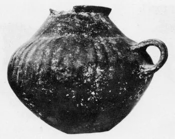 JUG (VILLA NOVA)