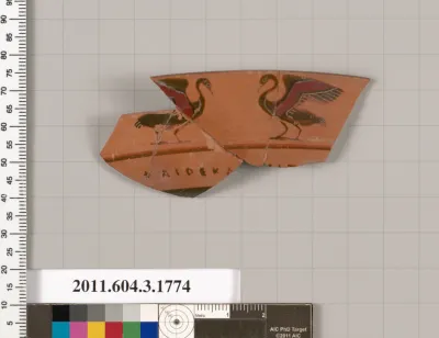 Terracotta rim fragment of a kylix: Lip cup (drinking cup)