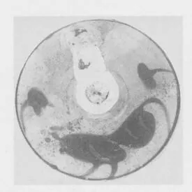LEKYTHOS (ATHENIAN, BLACK-FIGURE)