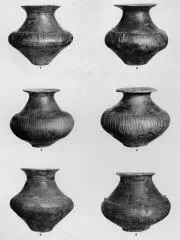 VARIOUS (DALJ)