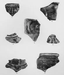 VARIOUS (ZUTO BRDO)