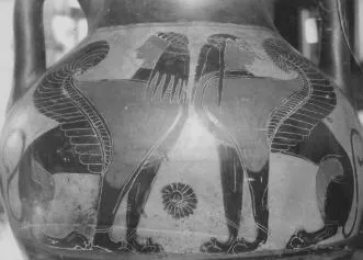 AMPHORA, BELLY, TYPE B (ATHENIAN, BLACK-FIGURE)