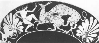 CUP (ATHENIAN, RED-FIGURE)
