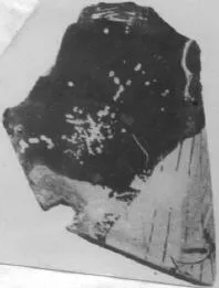 LEKYTHOS, FRAGMENT (ATHENIAN, RED-FIGURE)