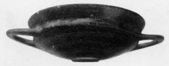 CUP (VEIAN)