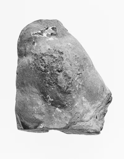 Female Head