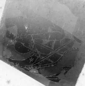LEKYTHOS, FRAGMENT (ATHENIAN, BLACK-FIGURE)