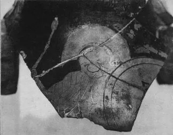 AMPHORA, BELLY, TYPE C, FRAGMENT (ATHENIAN, RED-FIGURE)