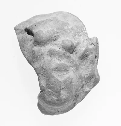Female Head