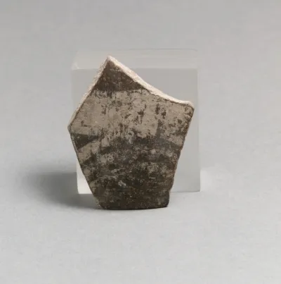 Vase fragment
