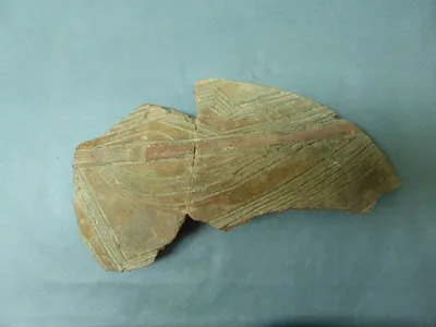 vase ; fragment