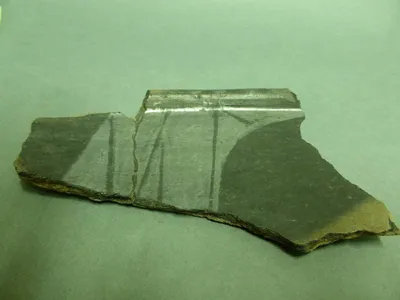 plat ; fragment