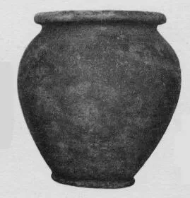 JAR (ROMAN)