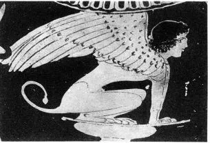 AMPHORA, NECK (ATHENIAN, RED-FIGURE)