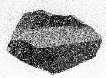FRAGMENT (LACONIAN)