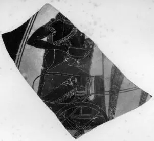 AMPHORA, BELLY, FRAGMENT (ATHENIAN, BLACK-FIGURE)