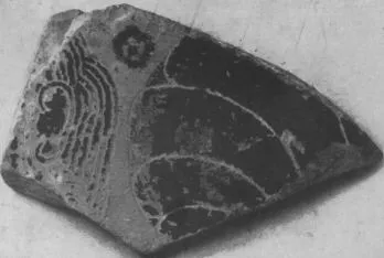 AMPHORA (?), FRAGMENT (ATHENIAN, BLACK-FIGURE)