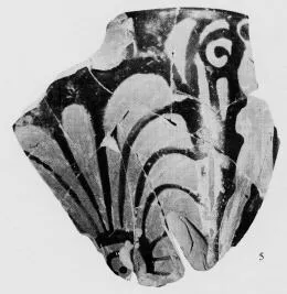 SKYPHOS, FRAGMENT (ATHENIAN, RED-FIGURE)