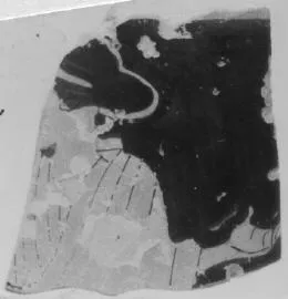 LEKYTHOS, FRAGMENT (ATHENIAN, RED-FIGURE)