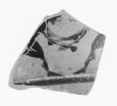Attic Black-Figure Lip Cup Fragment