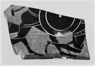 CUP DROOP (?), FRAGMENT (ATHENIAN, BLACK-FIGURE)