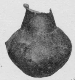 JUG (VILLA NOVA)