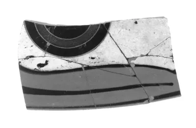 Black-Figure Eye Cup Fragment