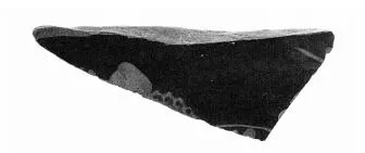 HYDRIA, FRAGMENT (ATHENIAN, RED-FIGURE)
