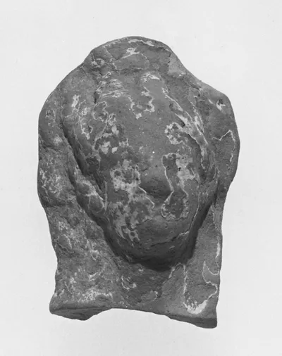 Female Head