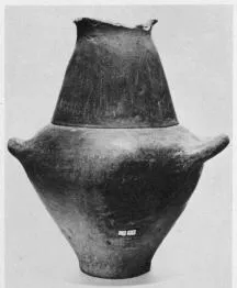 AMPHORA, BELLY (VILLA NOVA)