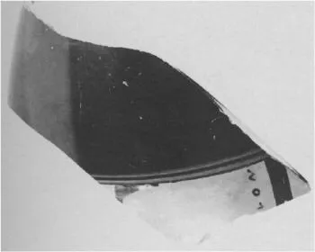 AMPHORA, PANATHENAIC PRIZE, FRAGMENT (ATHENIAN, BLACK-FIGURE)