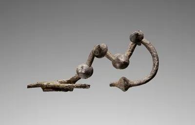 Fragmentary Knobbed Fibula