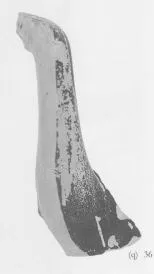 CUP, FRAGMENT (ATHENIAN, RED-FIGURE)