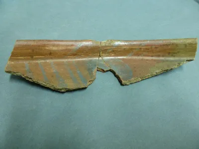 plat ; fragment