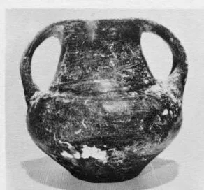 AMPHORA, BELLY (SOUTH ITALIAN, IMPASTO)