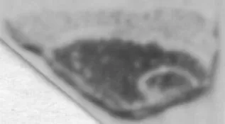 CUP, FRAGMENT (ATHENIAN, RED-FIGURE)