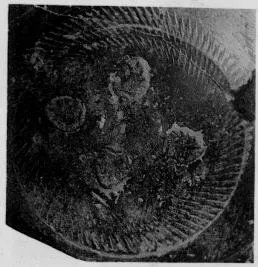 CUP, STEMLESS, FRAGMENT (SOUTH ITALIAN, CAMPANIAN, RELIEF)