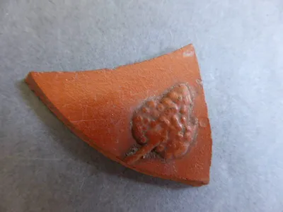 vase ; fragment